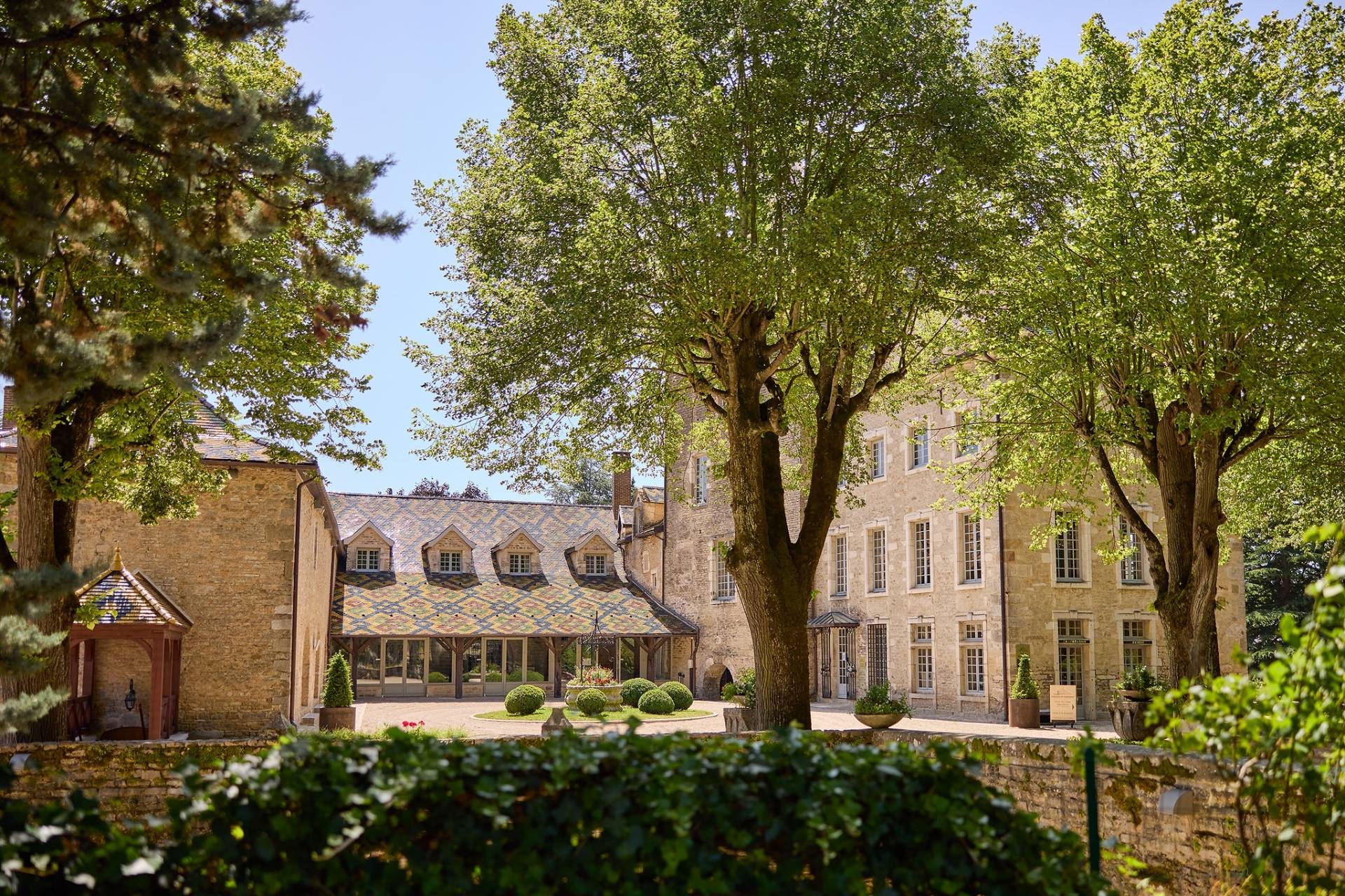 Tasting tour “In the heart of the Santenay fiefdom”