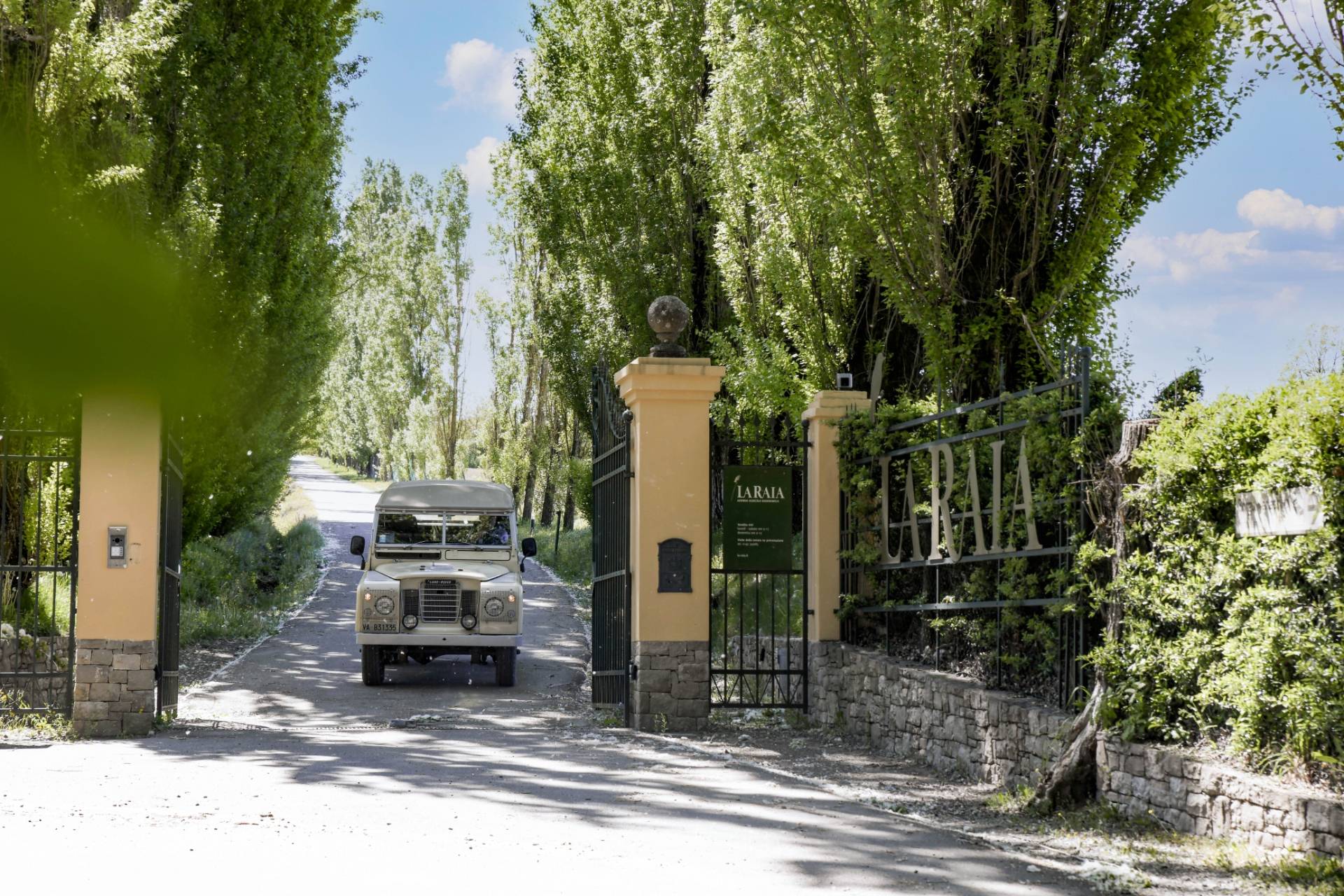 Visit with tasting and light lunch