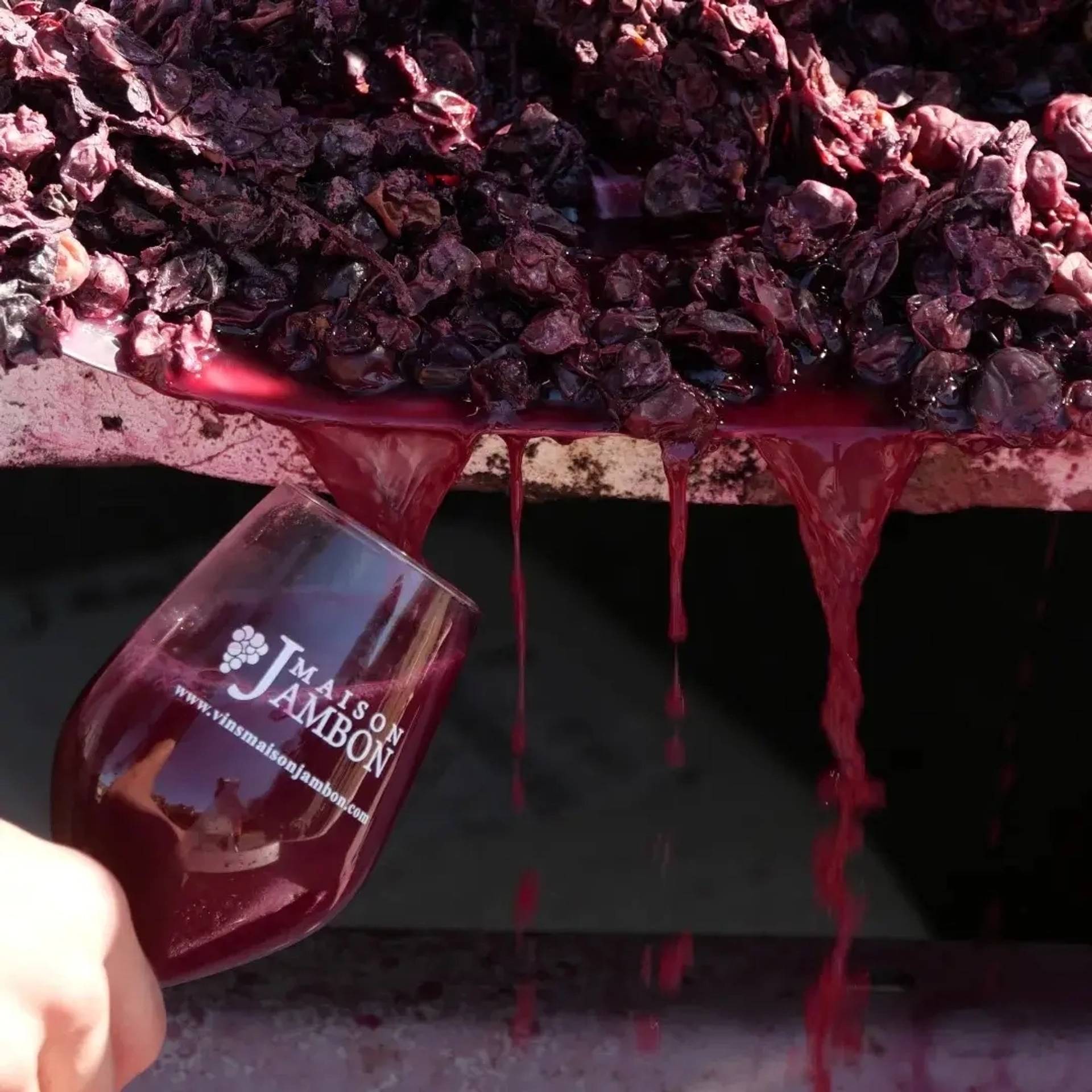 Visit and tasting of 6 wines