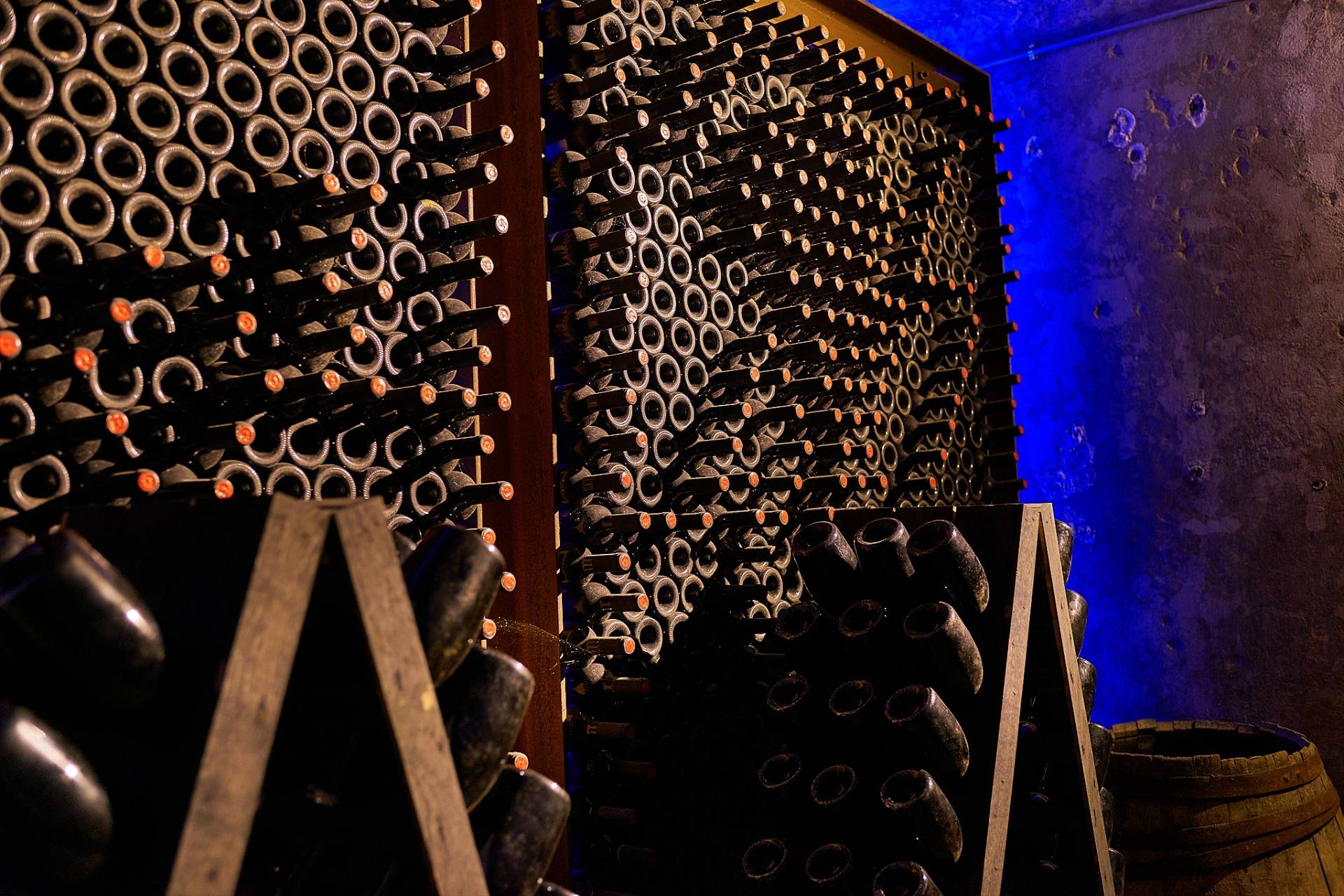 Mani del Sud Experience