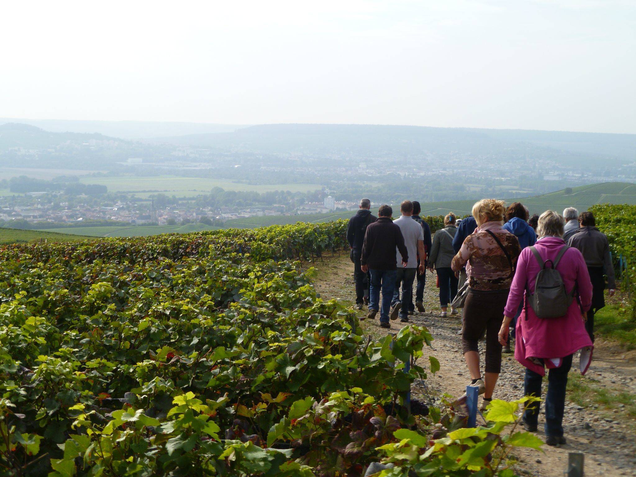 La visite du sentier du Vigneron