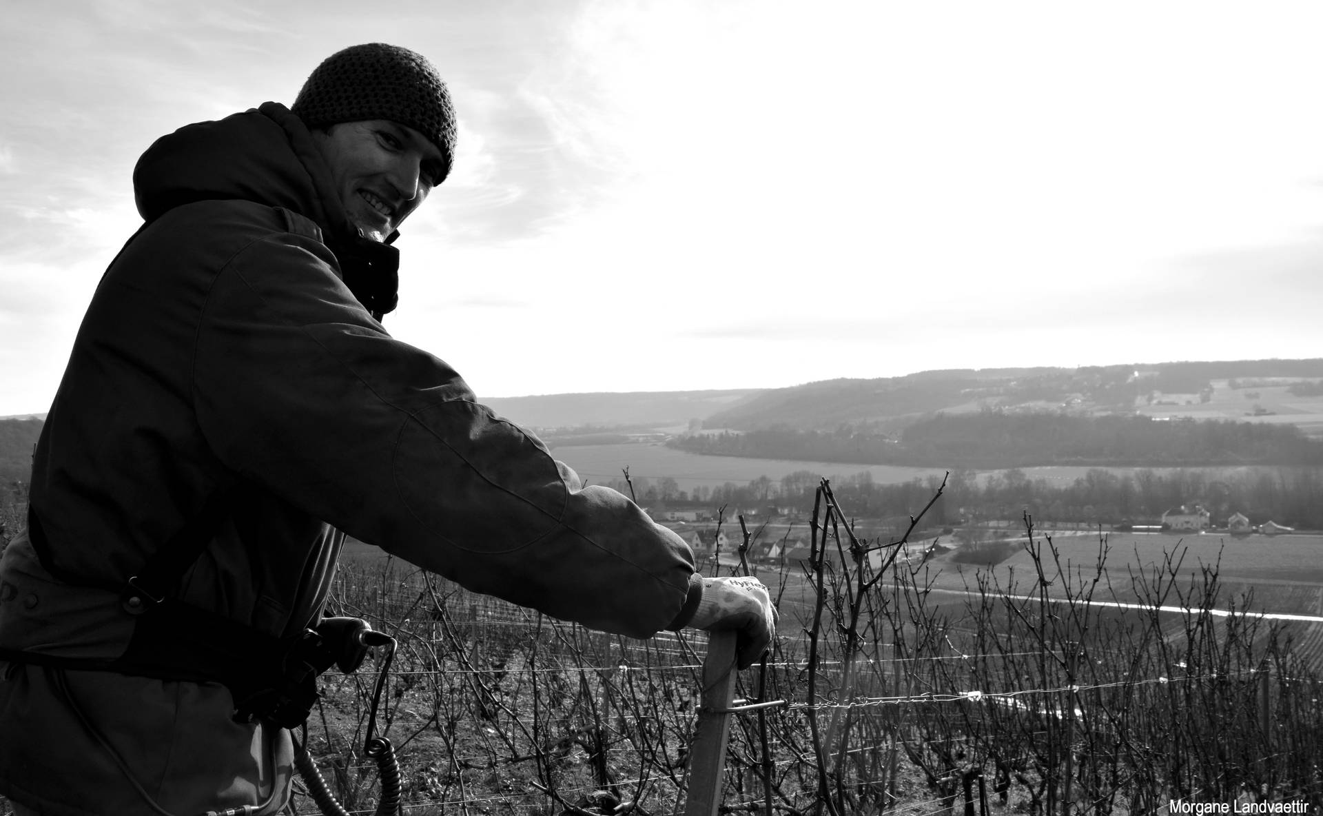 Visite du vignoble & dégustation de 2 champagnes
