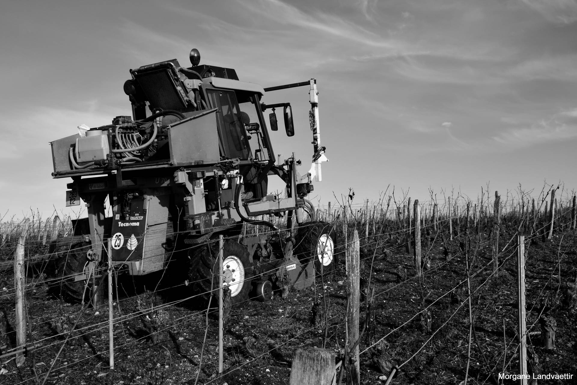 Visite du vignoble & dégustation de 5 champagne