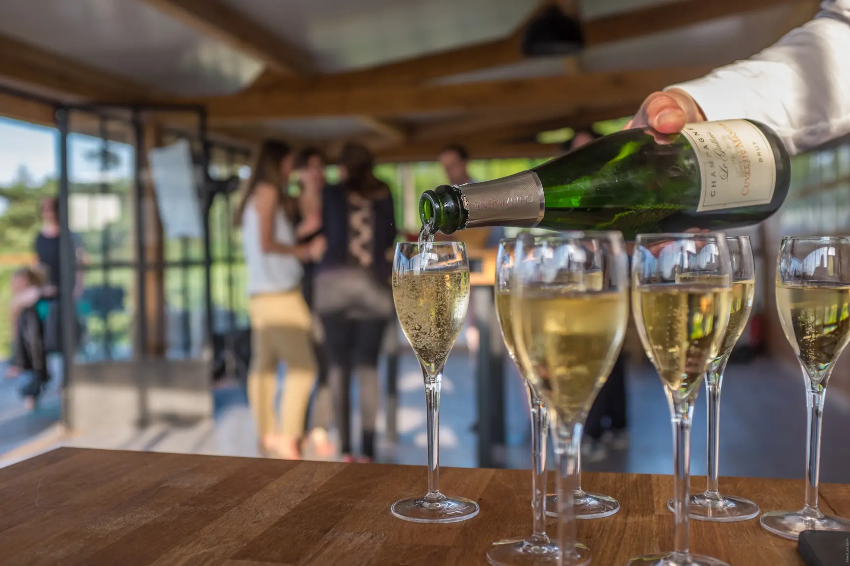 Tasting of 3 Champagnes