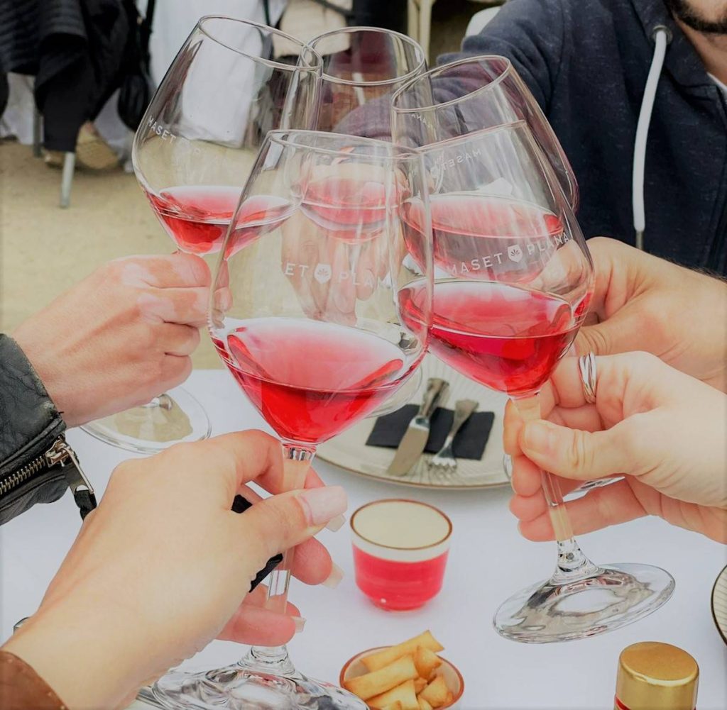 MP360: Visit + wine and olive oil tasting