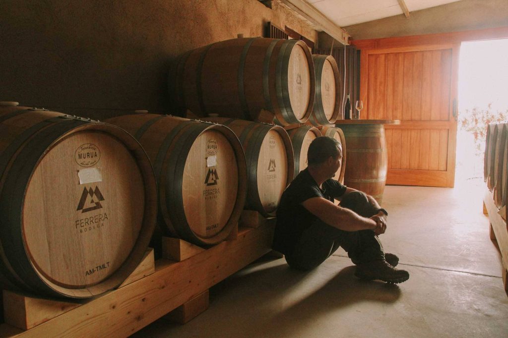 Visit of an organic vineyard and tasting