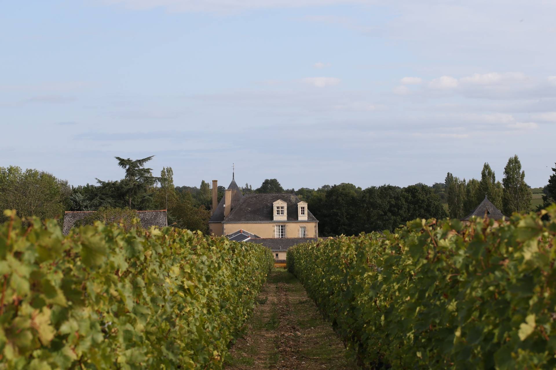 A getaway in the vineyards