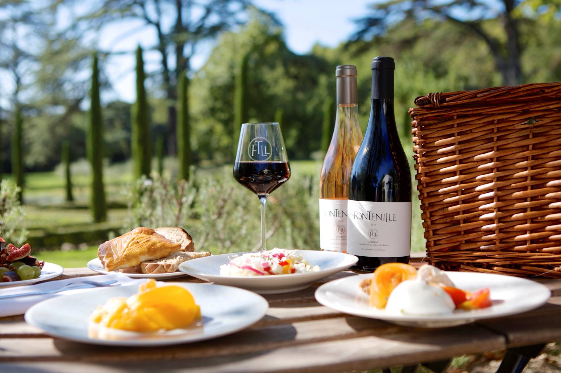 Vineyard walk and picnic