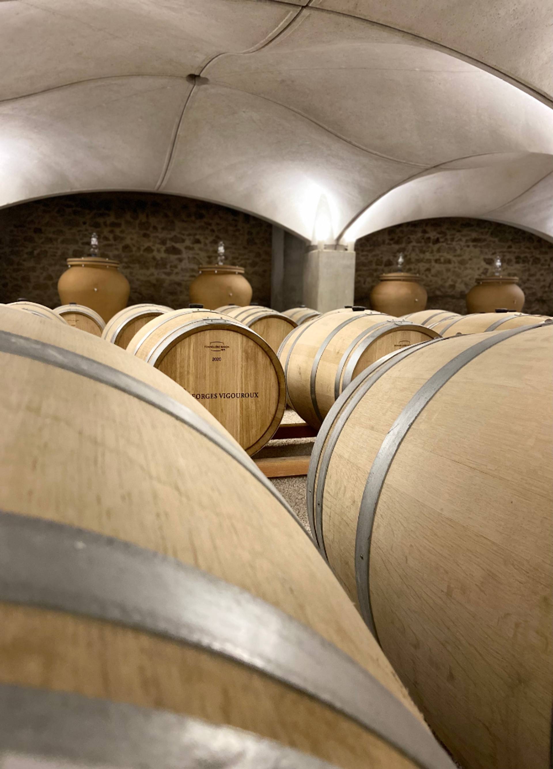 Visit and tasting 4 wines