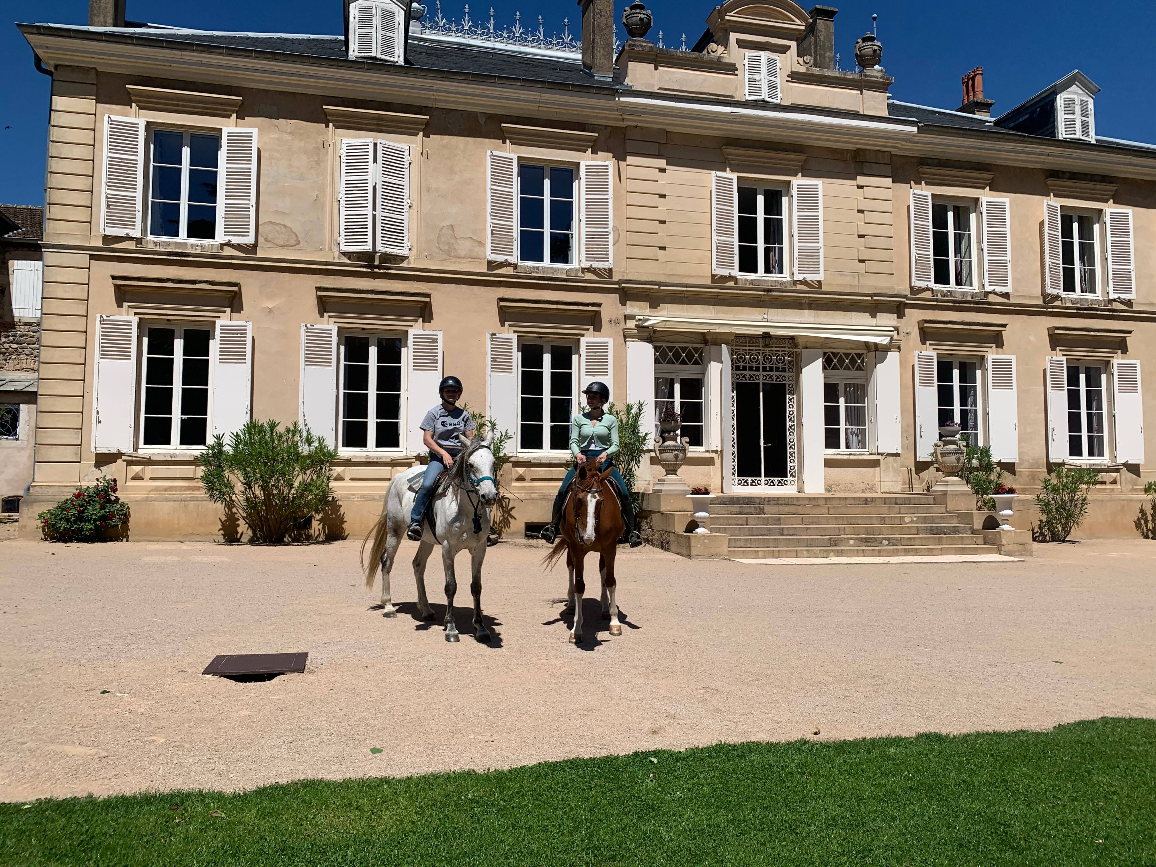 Horseback riding, tasting and picnic