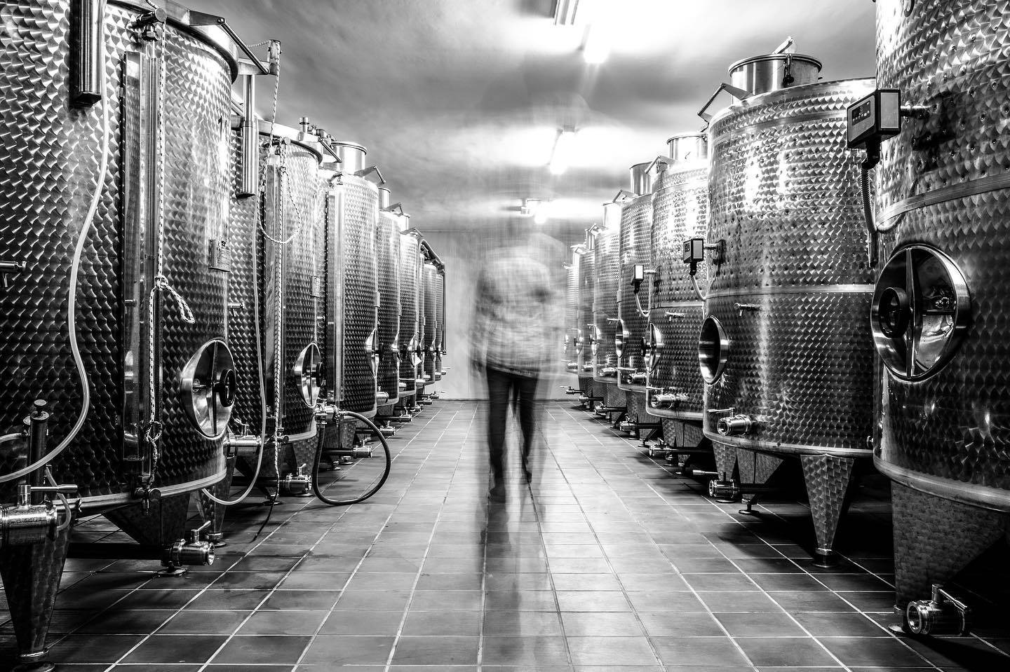 Premium visit of our company