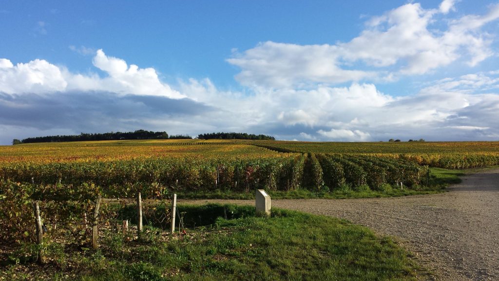 The Côte des Bar from the sky