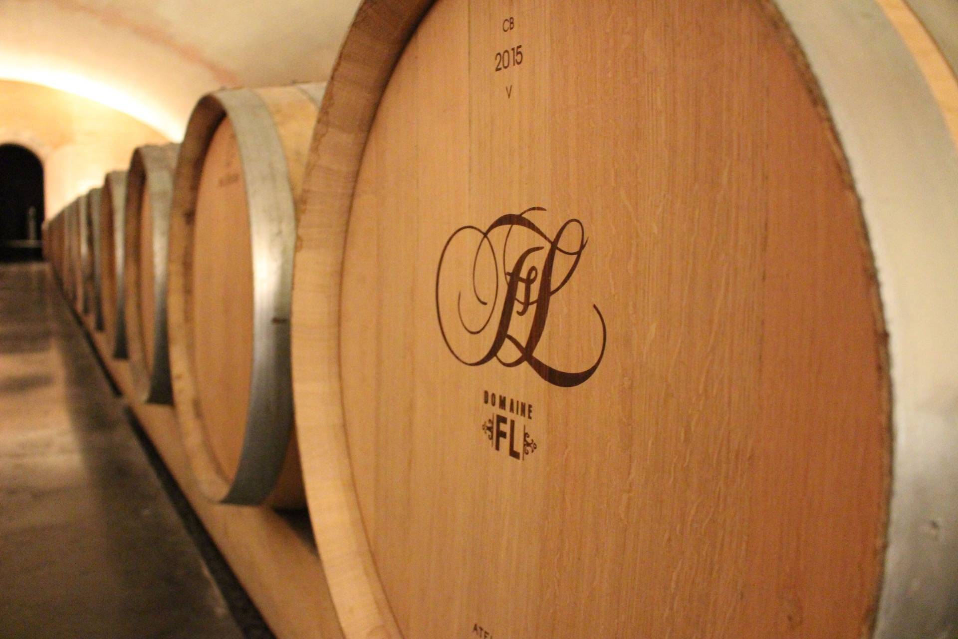 Discover the secrets of the FL winery