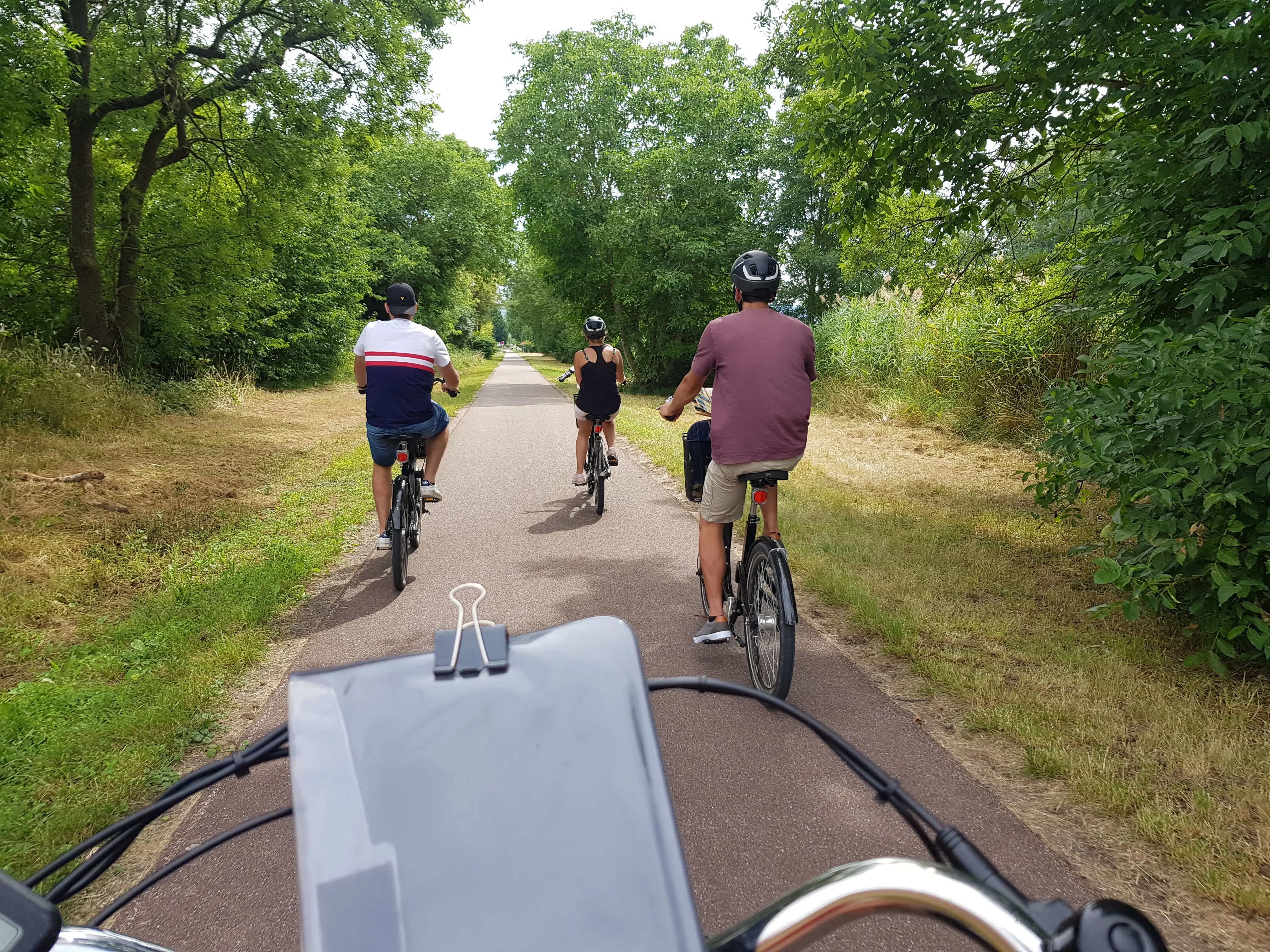 Electric bike ride and picnic in the Alsatian vineyard