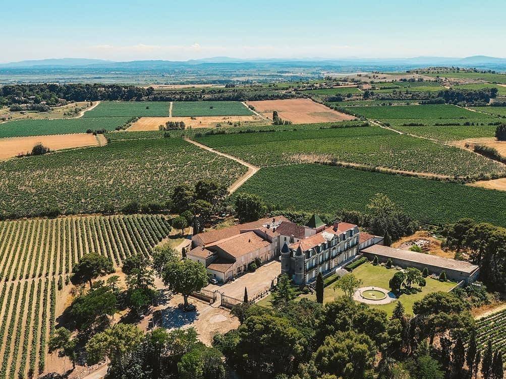 Guided tour from the vine to the glass