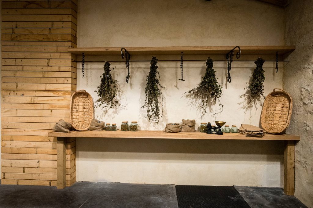 Discovery of herbs and plants for the vine