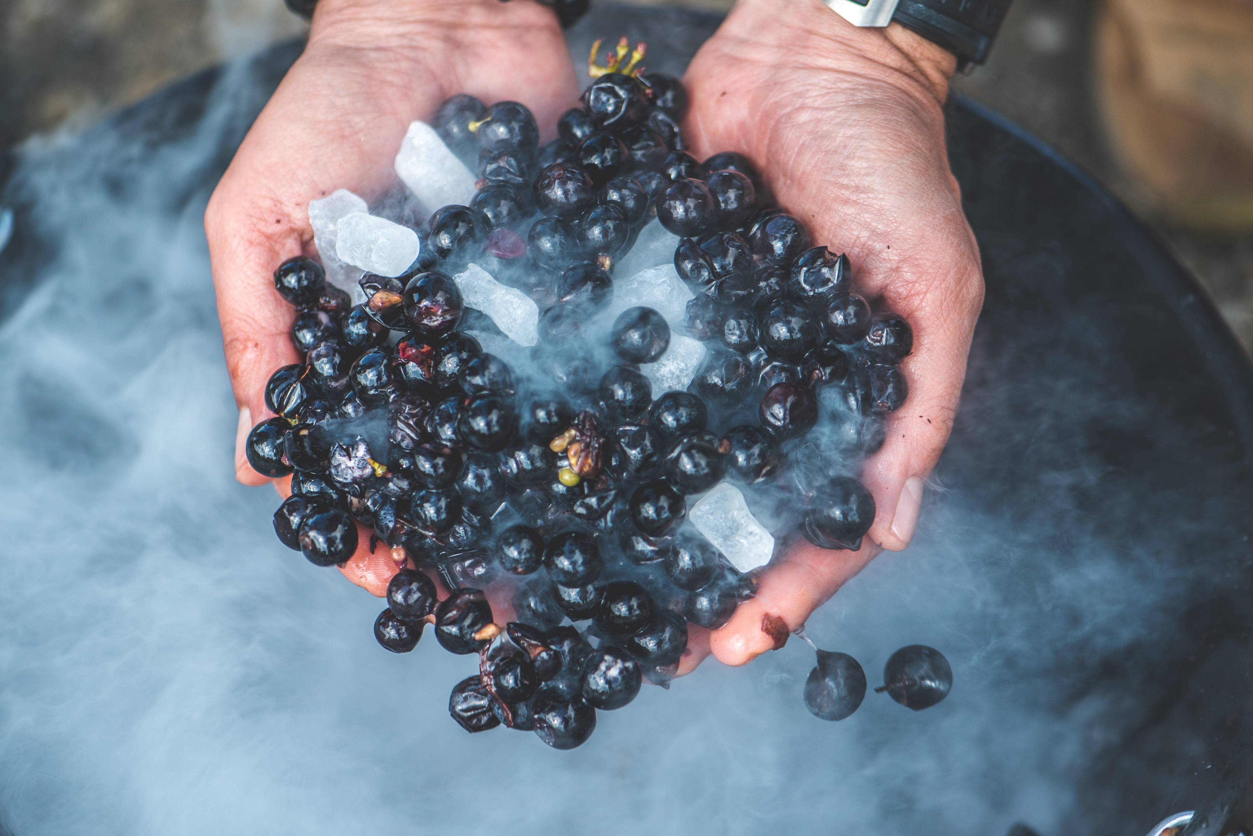 Prestige Discovery Tour