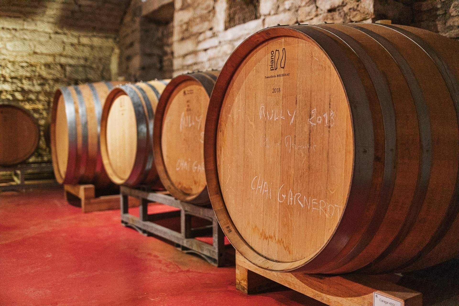 Visit and tasting of 3 wines