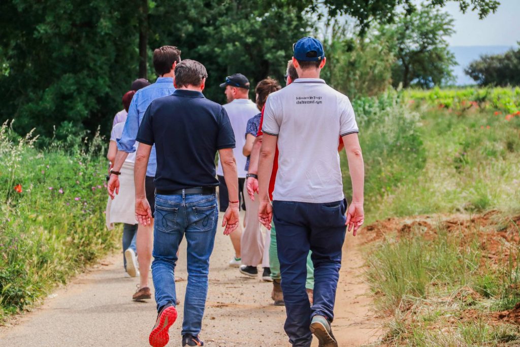 Discovery route: visit, tasting and picnic