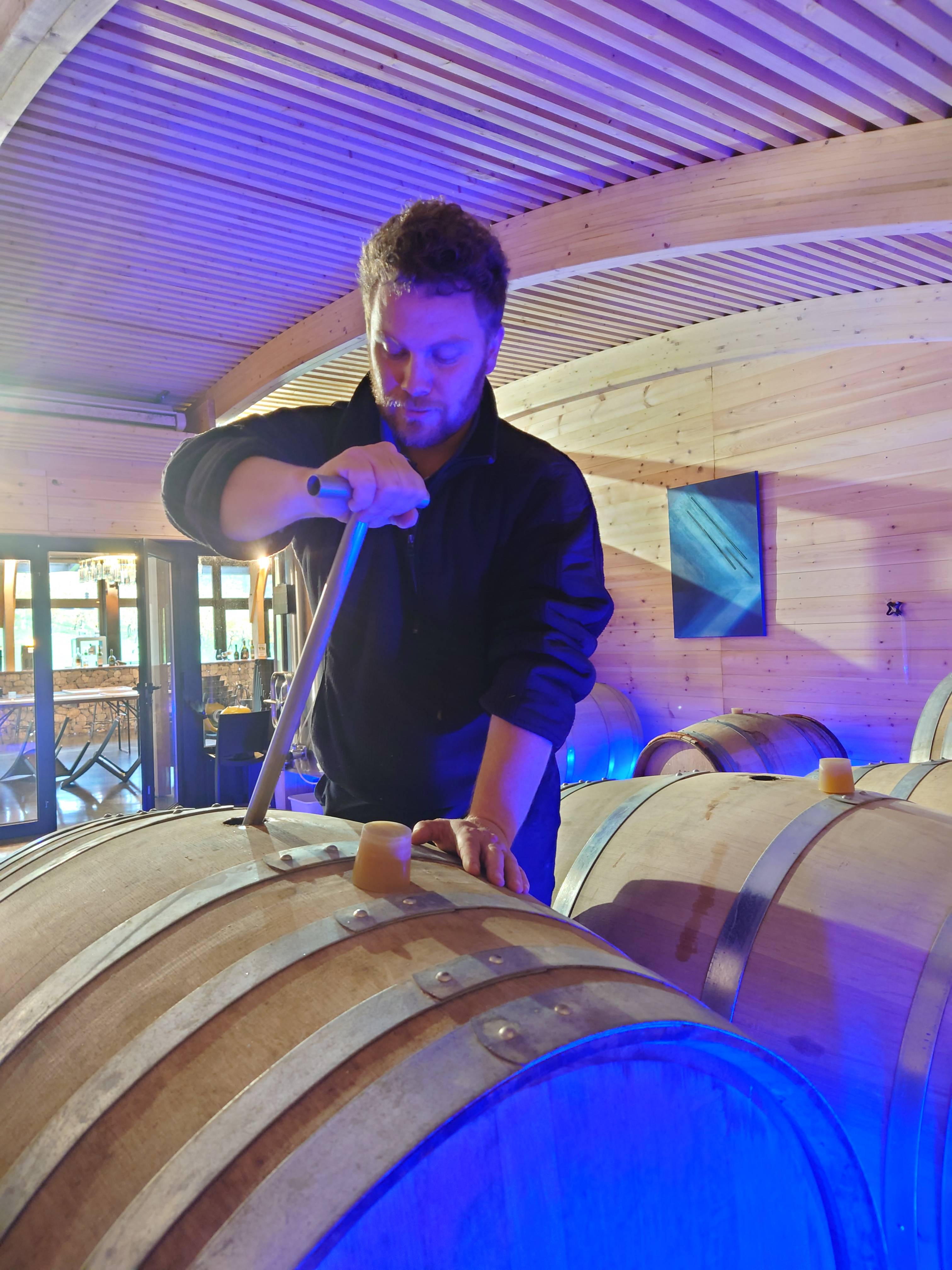 Tour and guided tasting of 5 wines