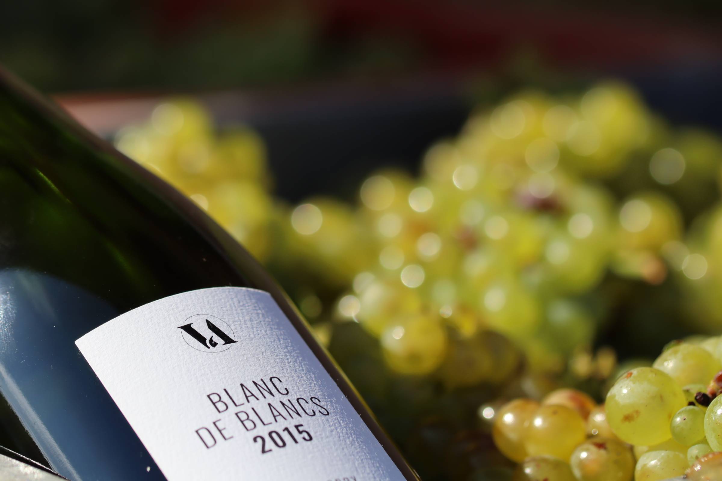 Grape varieties workshop