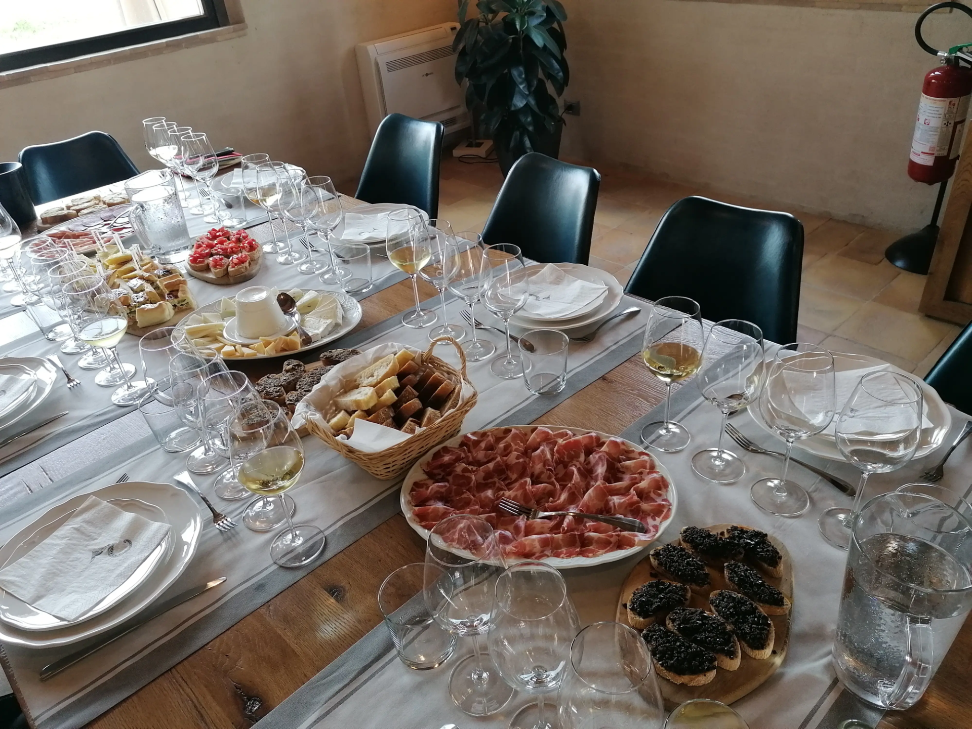 From the vineyard to the wineshop: cellar and tasting