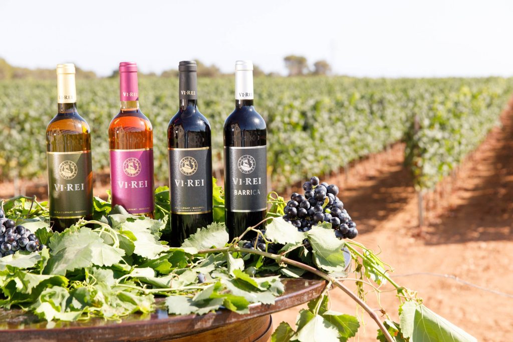 Guided tour and wine tasting