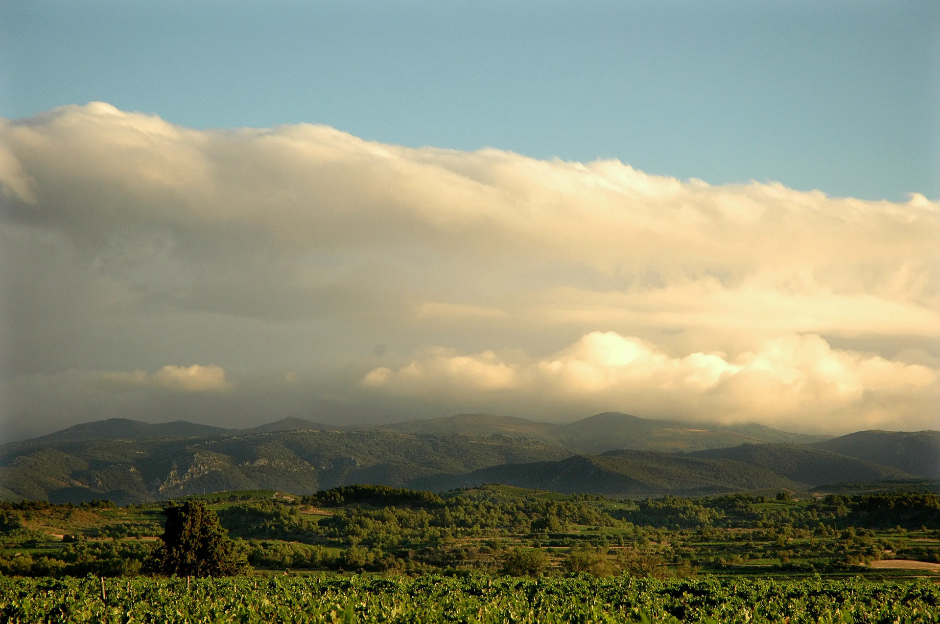 Discovery of the domain