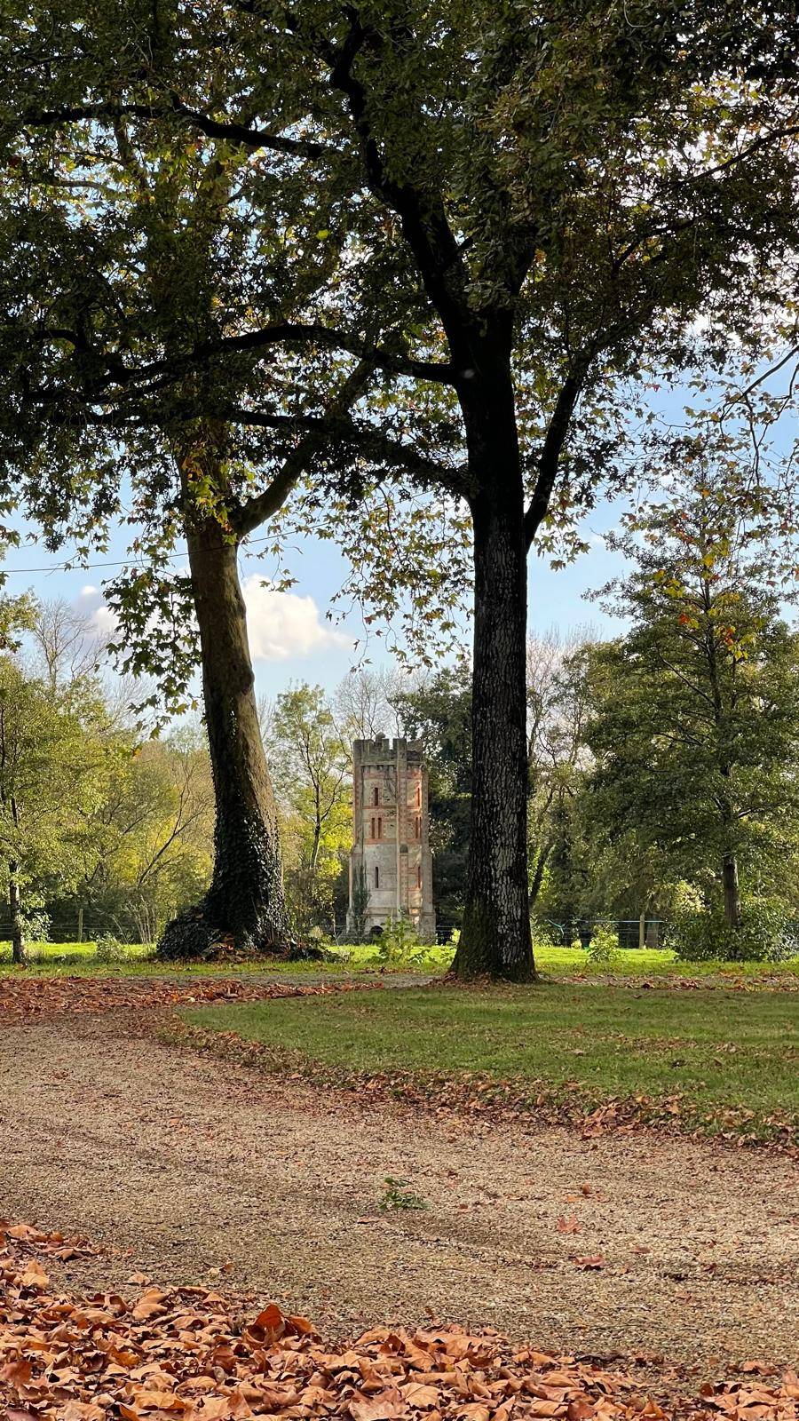 Wine and cheese tasting
