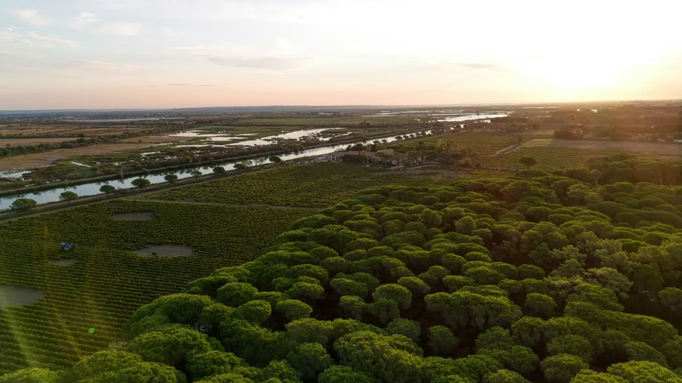 Estate visit and tasting