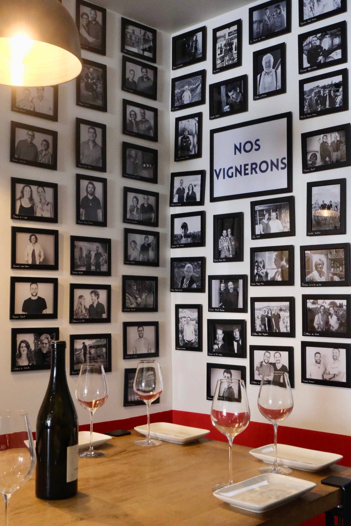 Tasting and discovery of the French vineyard