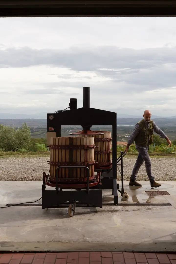 Discover the biodynamic Sangiovese