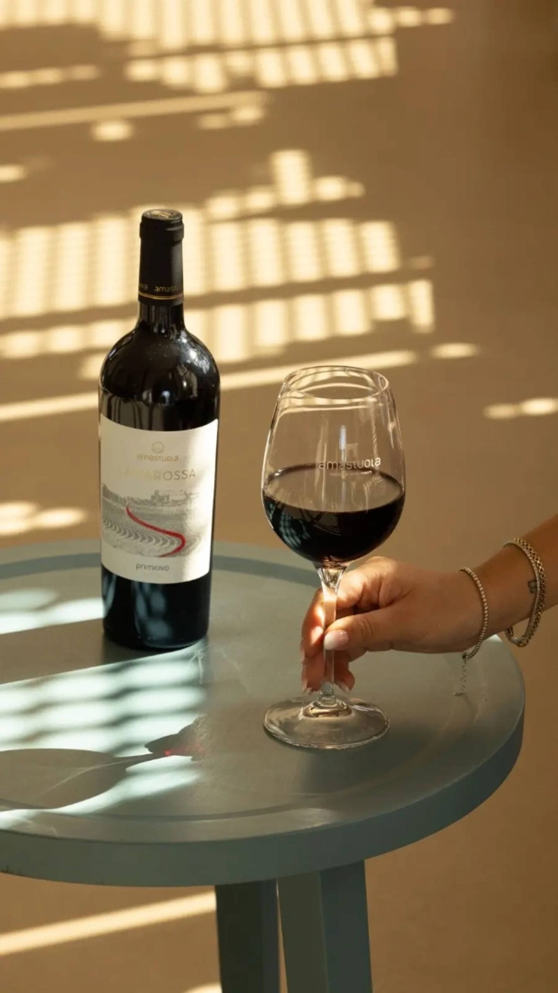 Wine and food tour with tasting