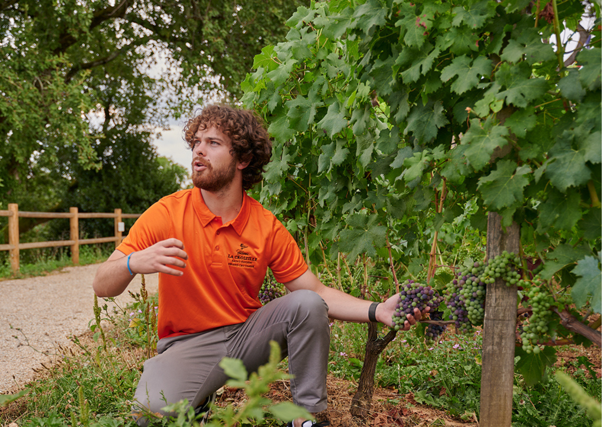 Saint-Emilion Grand Cru Classé: Nature Tour