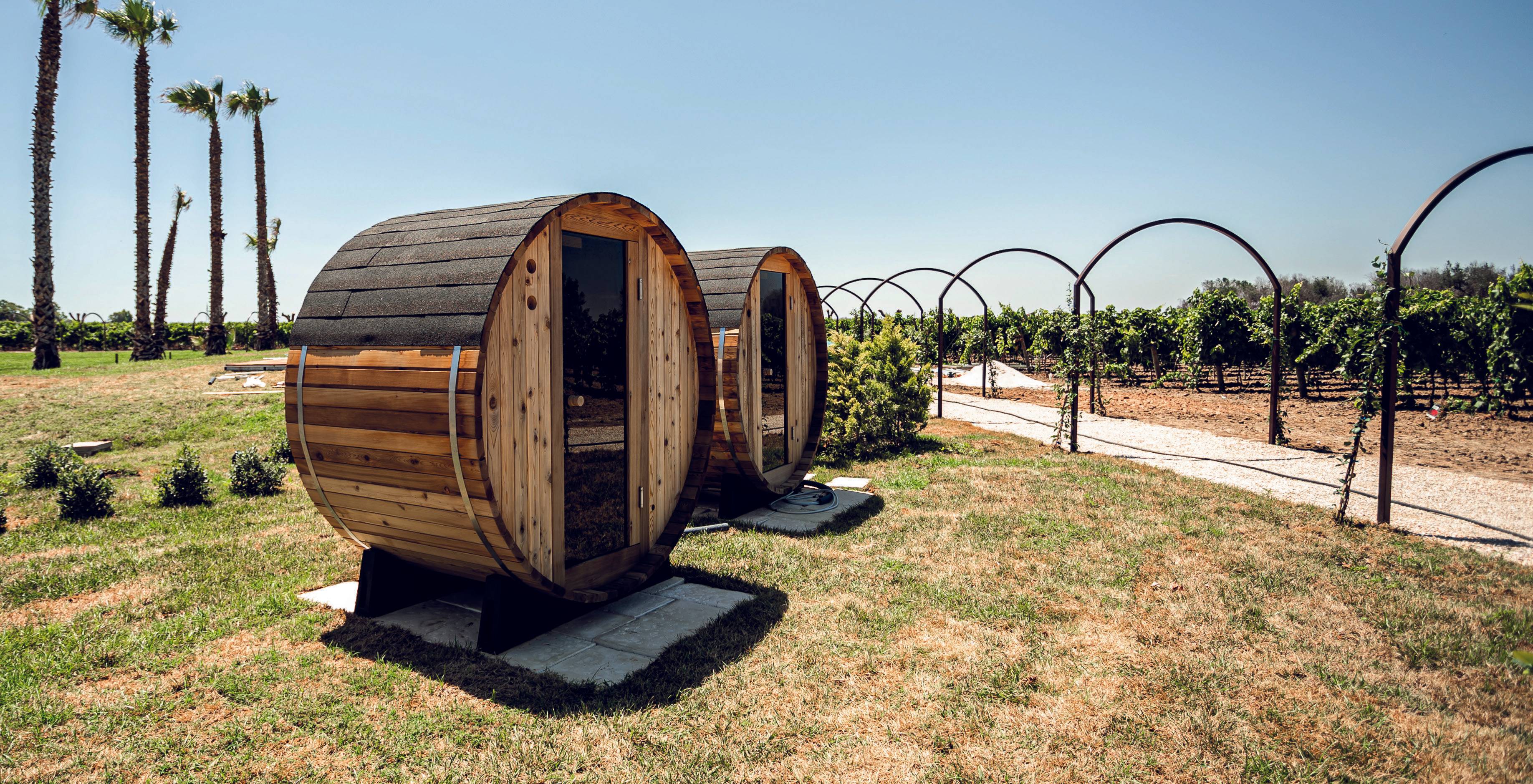 Sommelier Wine Experience