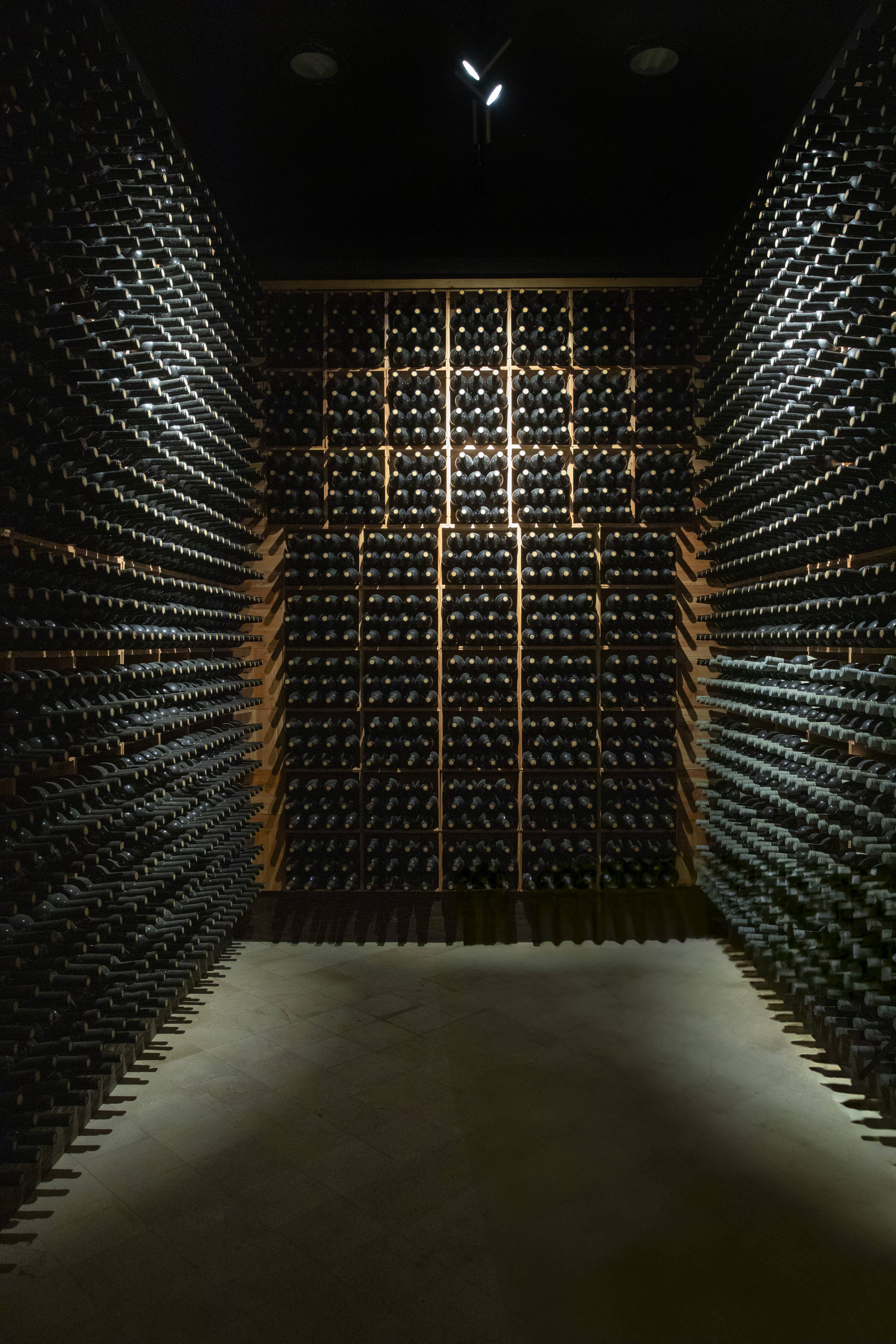 Excellencies of the Duke