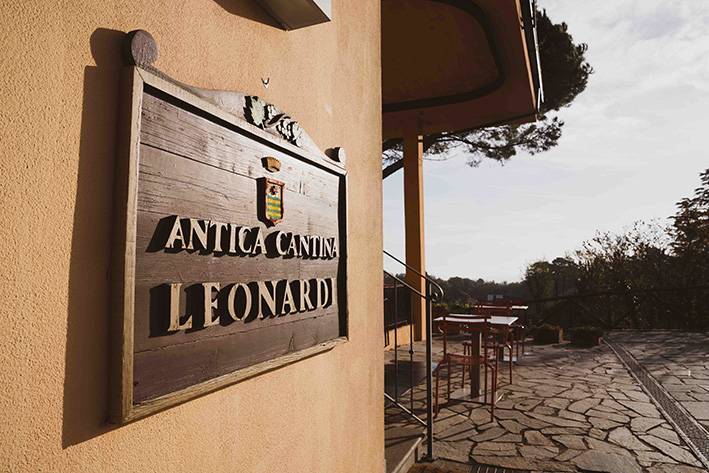 Old vintages, tasting of the best vintages