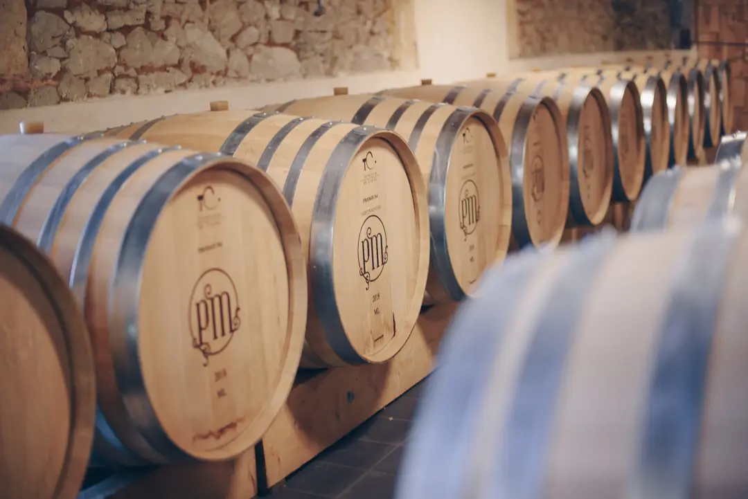 Visit and tasting with panoramic view