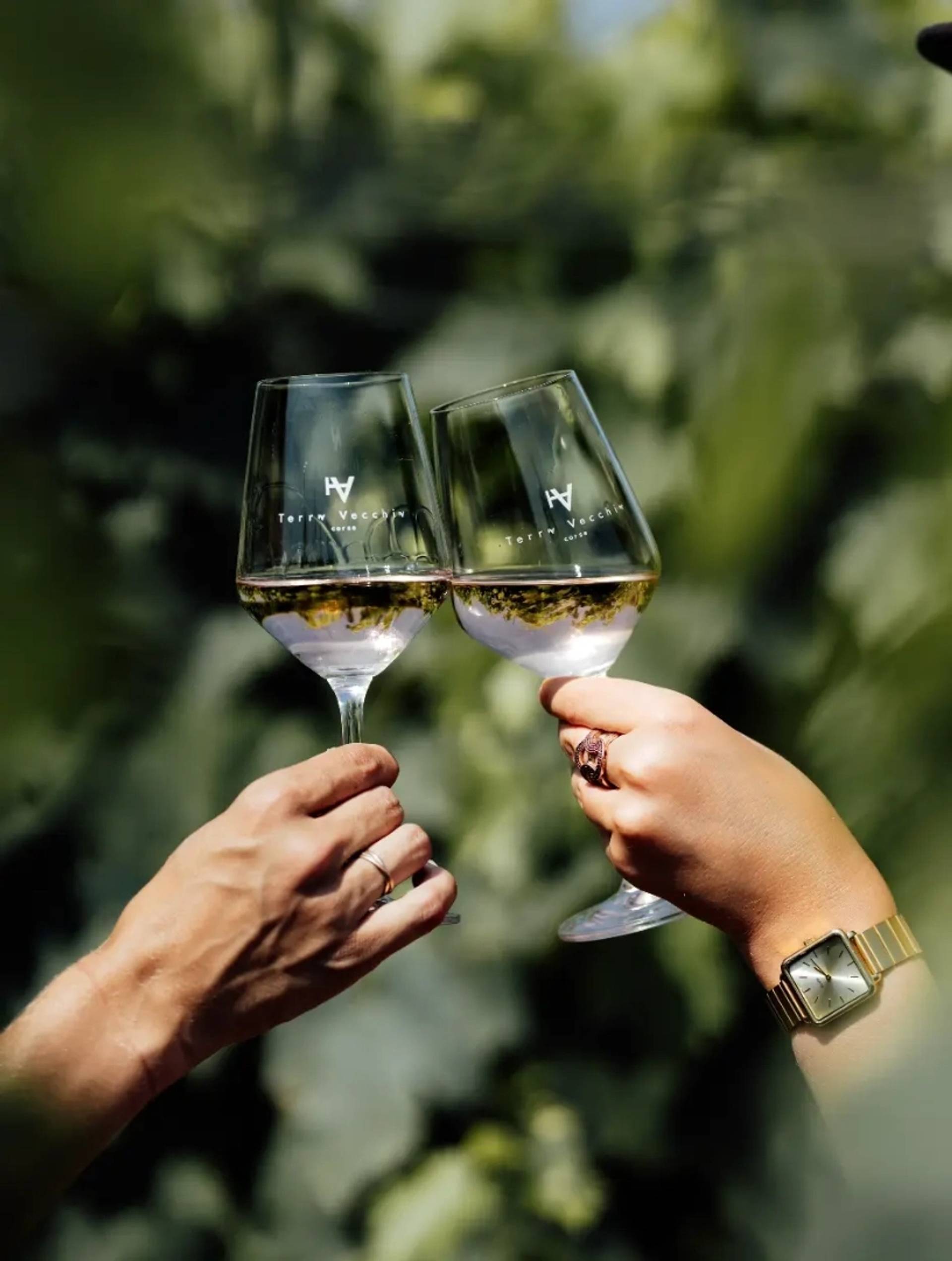 Maria-Stella Tasting