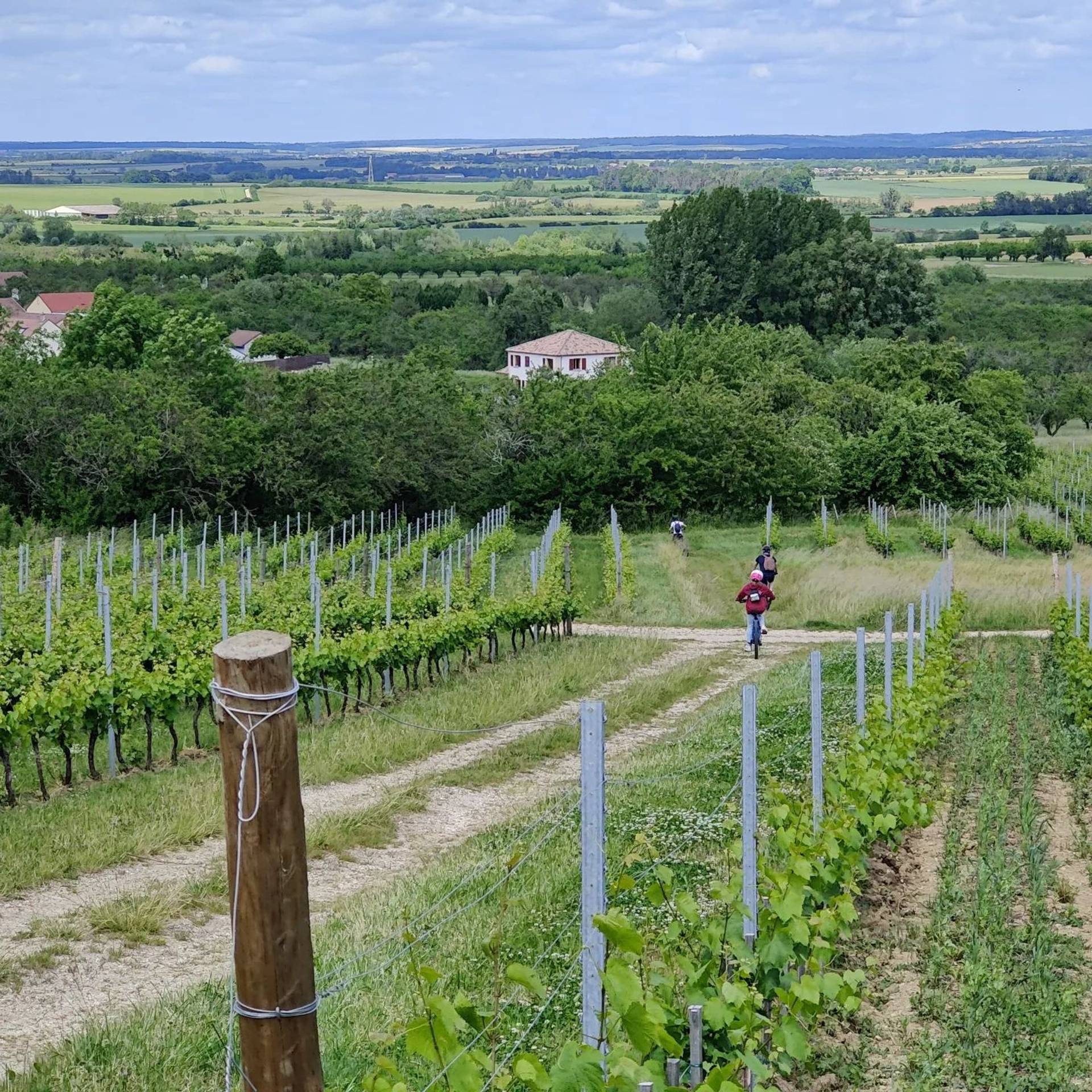 Day in E-Vtt and tasting