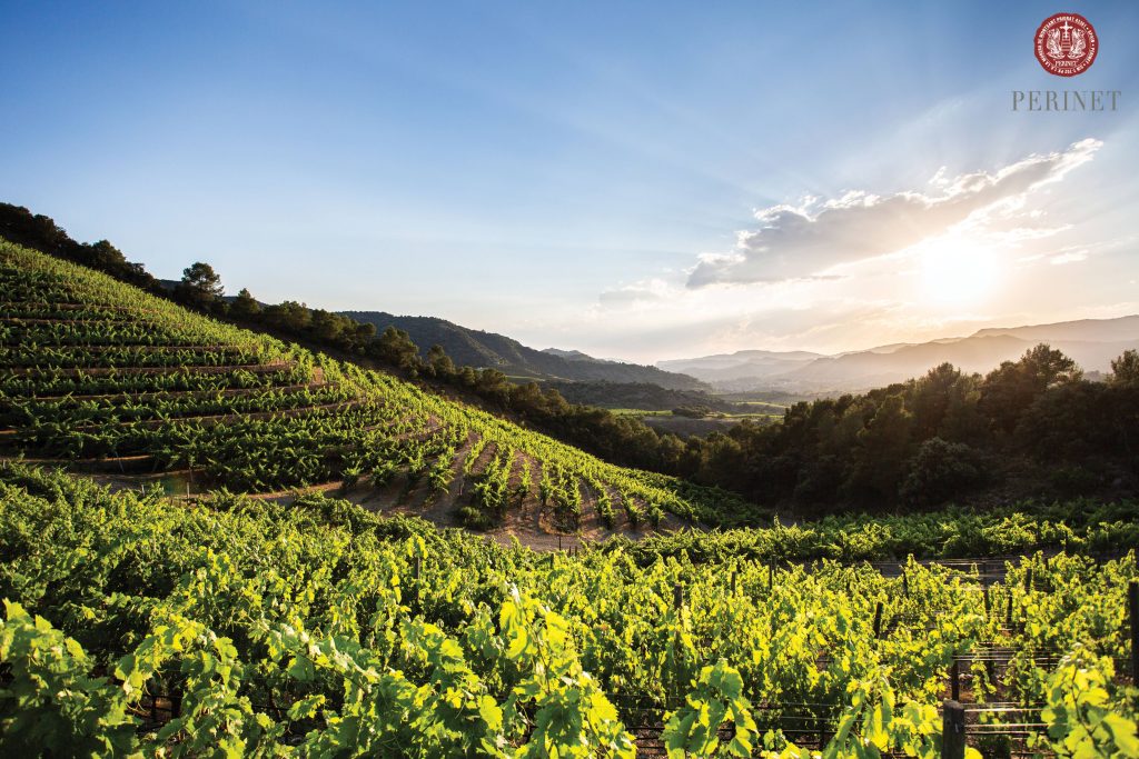 Visit & Barrel Tasting