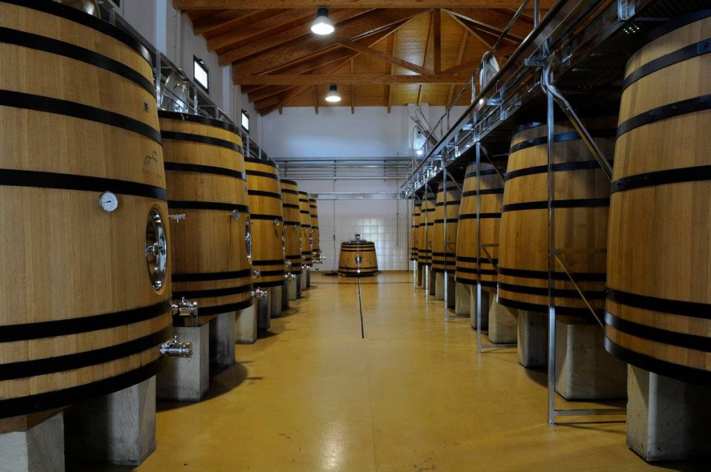 Visit with pairing (Saturdays)