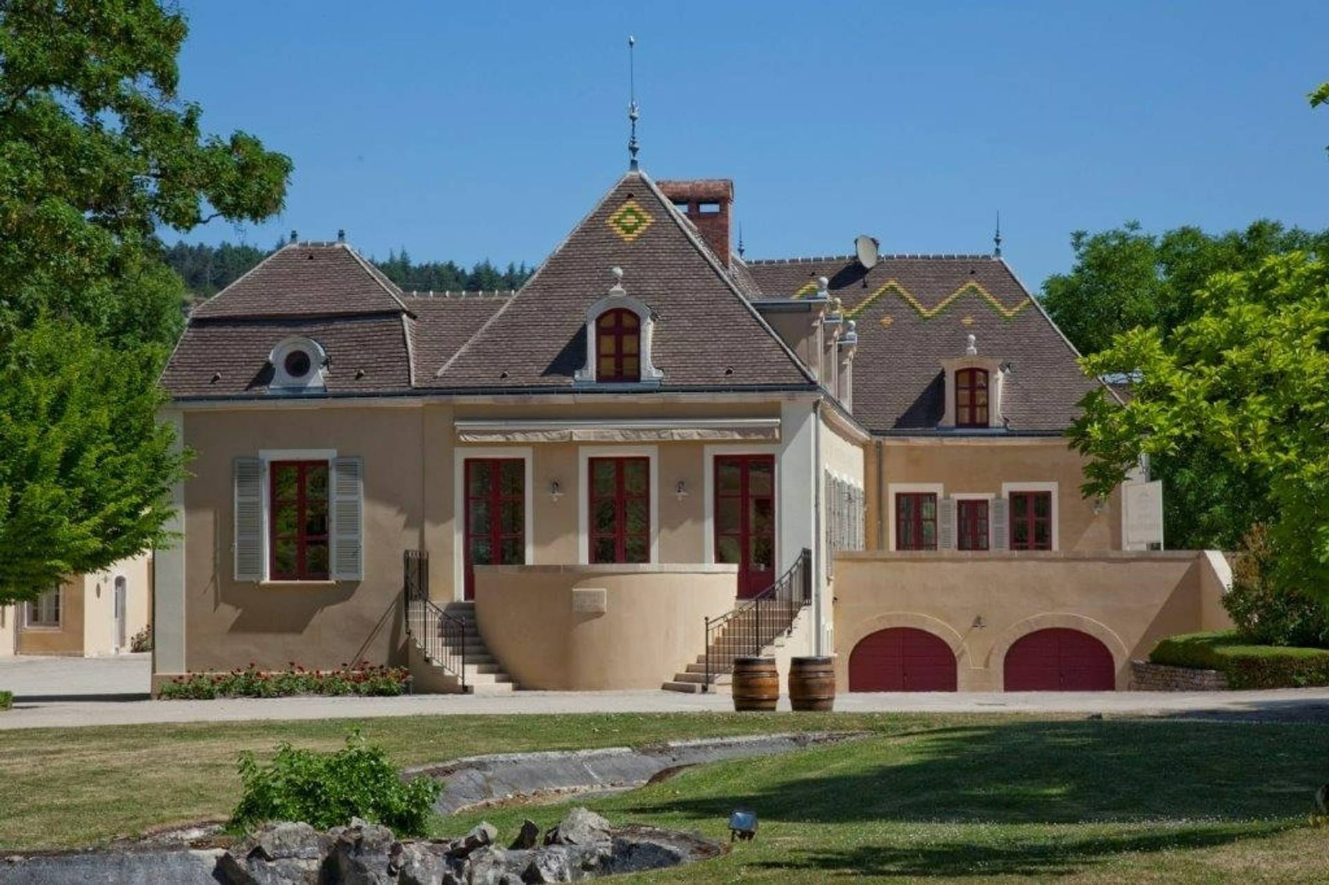 Journey from vine to glass