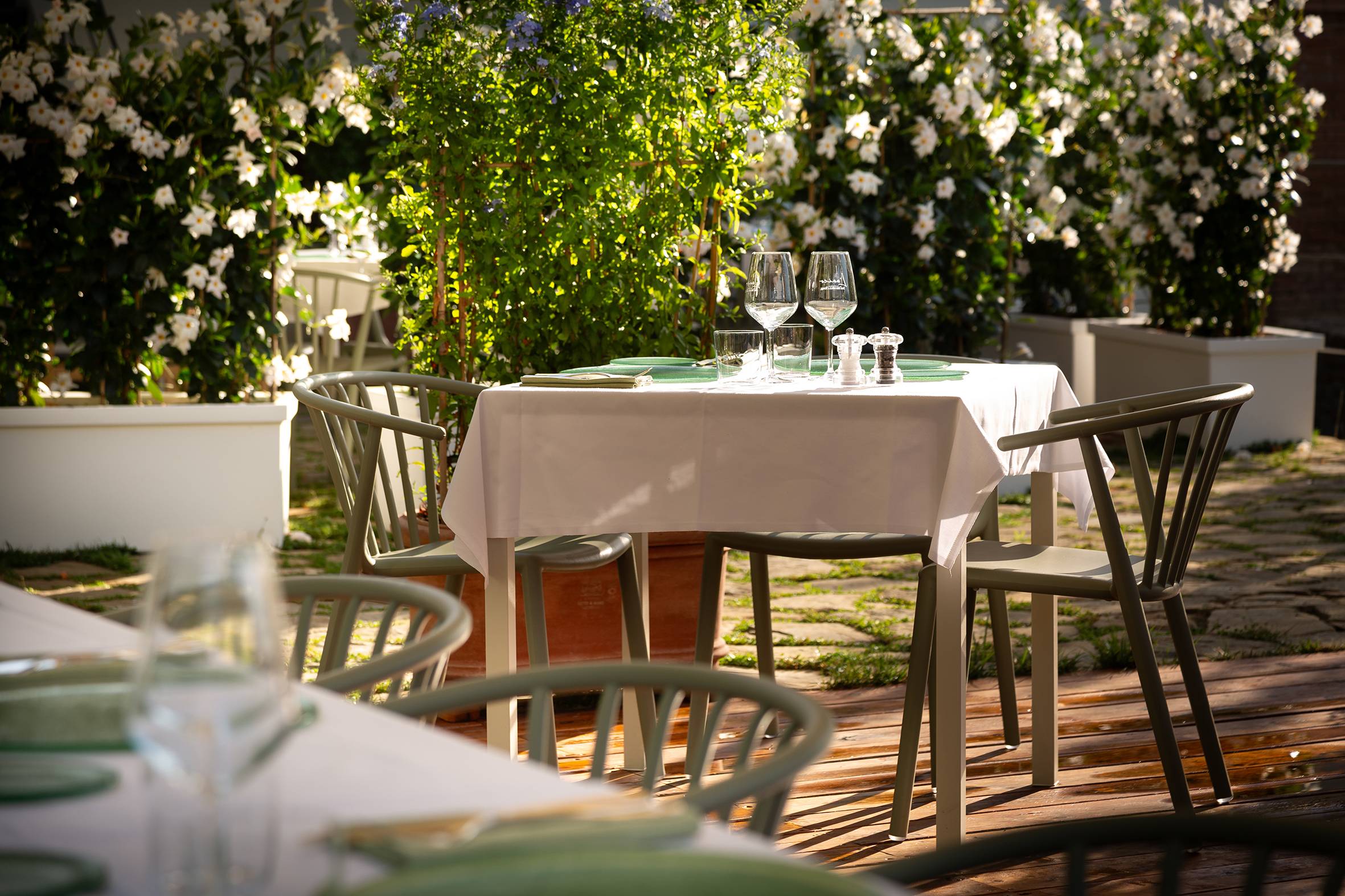 Organic Tour & Tasting + Lunch at Unico