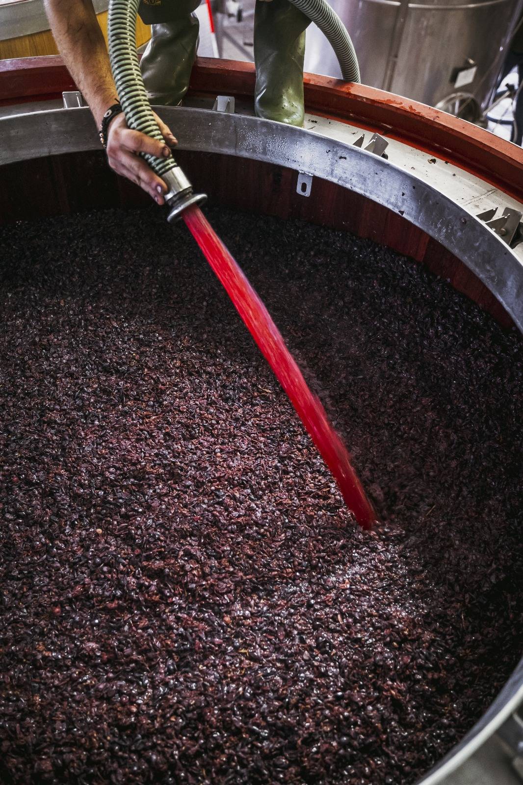 A Taste of Monferrato