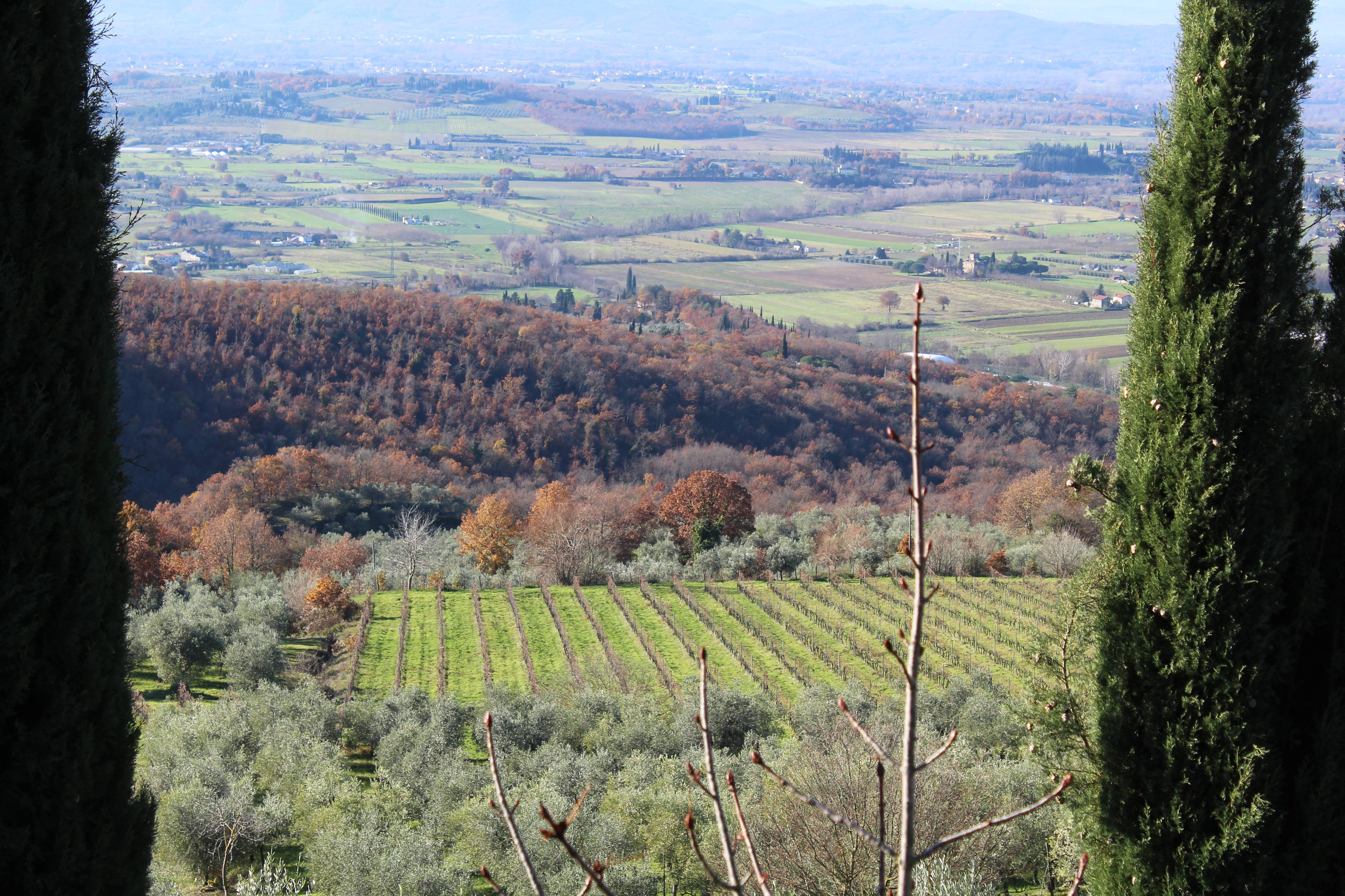 Tour & Tasting “The Chianti”