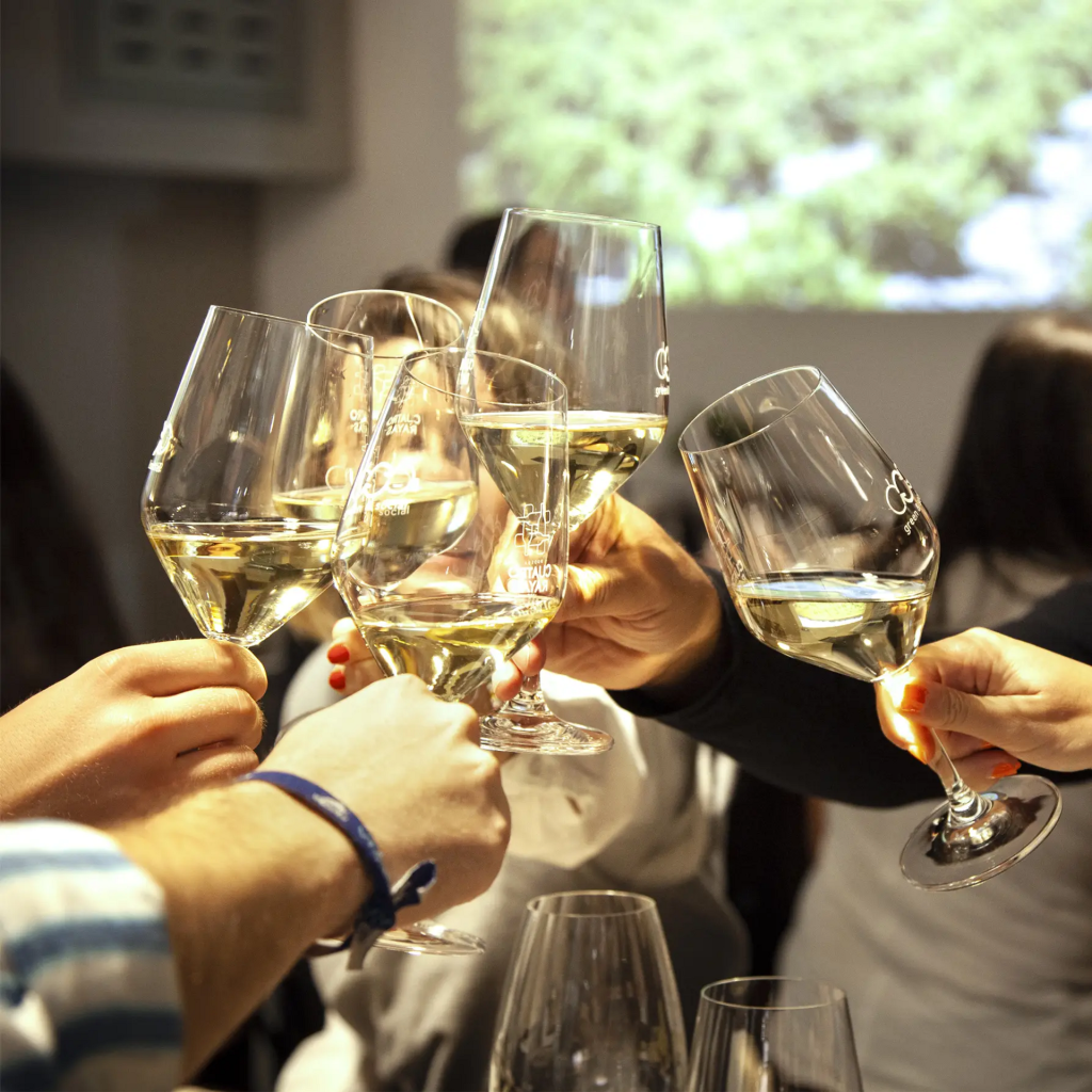 Visit Cuarenta Vendimias + Wine Tasting