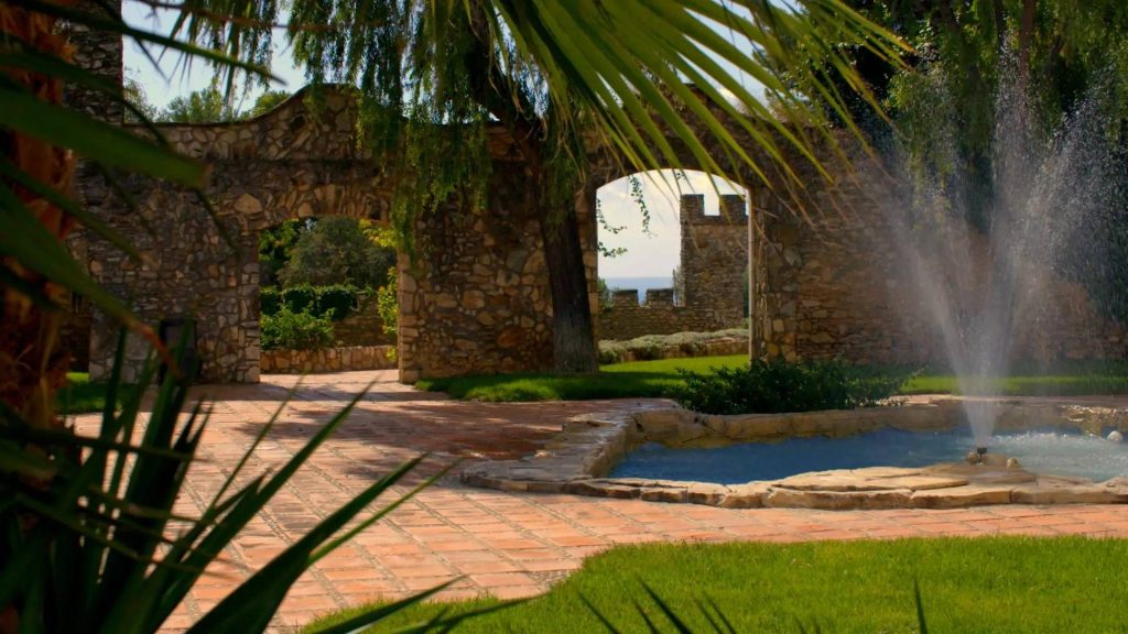 Visit to the winery with cava tasting