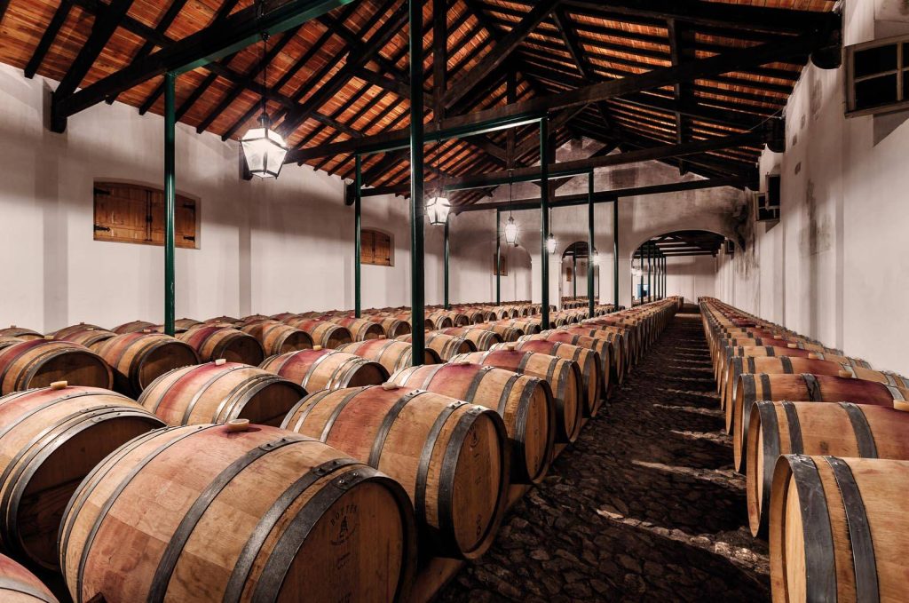 Guided Tour Quinta do Carmo + SuperPremium Tasting