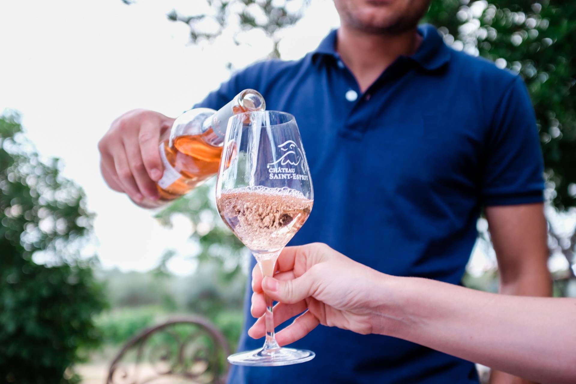 Discovery tour of the estate